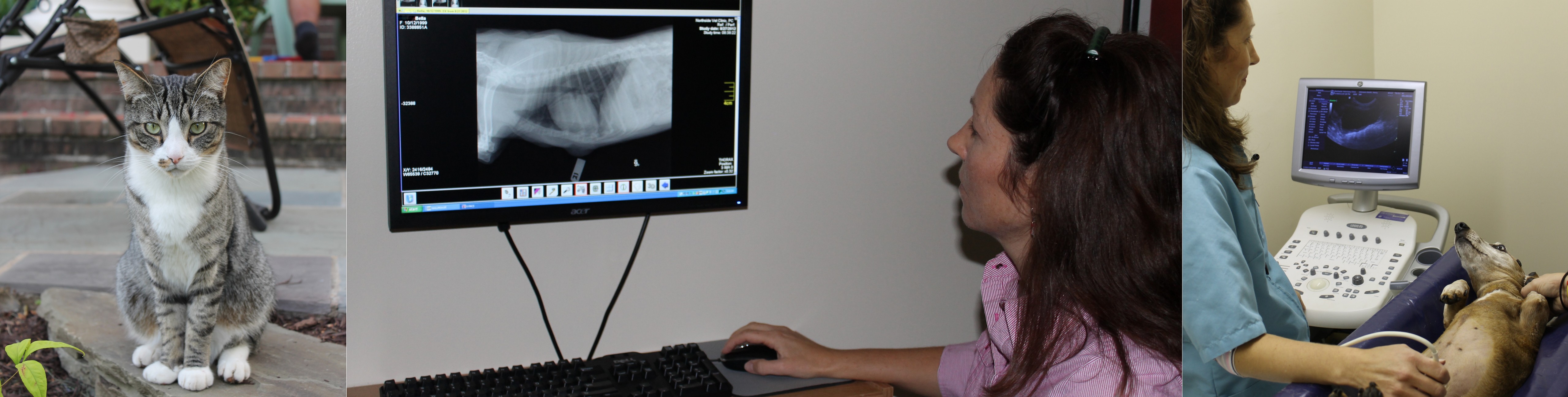 4003 Langston Boulevard, Arlington, VA 22207